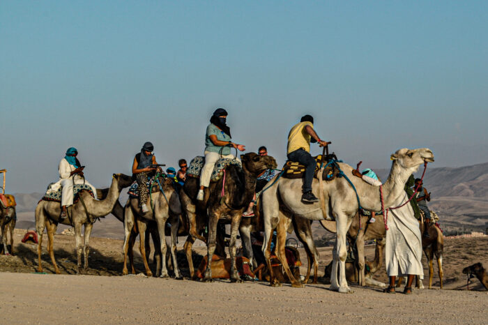 Marrakech: Desert Adventure Camel Riding and Dinner Show in Agafay