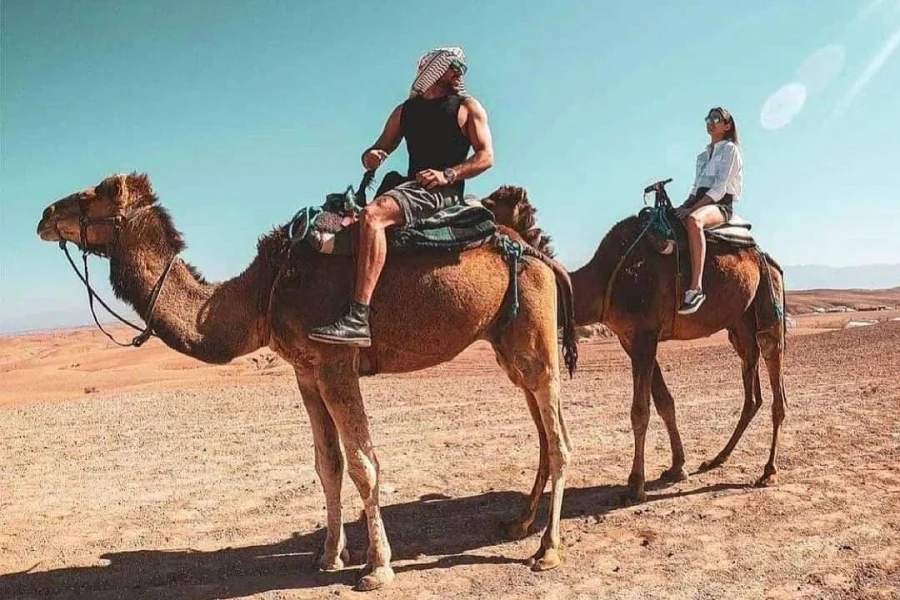 Agafay Desert Camel Ride and Dinner Show With Spectacle Quad Atlas Vip