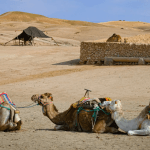 Explore Agafay Desert Your Guide to the Luxury in Morocco - Quad Atlas Vip