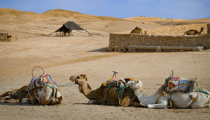 Explore Agafay Desert Your Guide to the Luxury in Morocco - Quad Atlas Vip